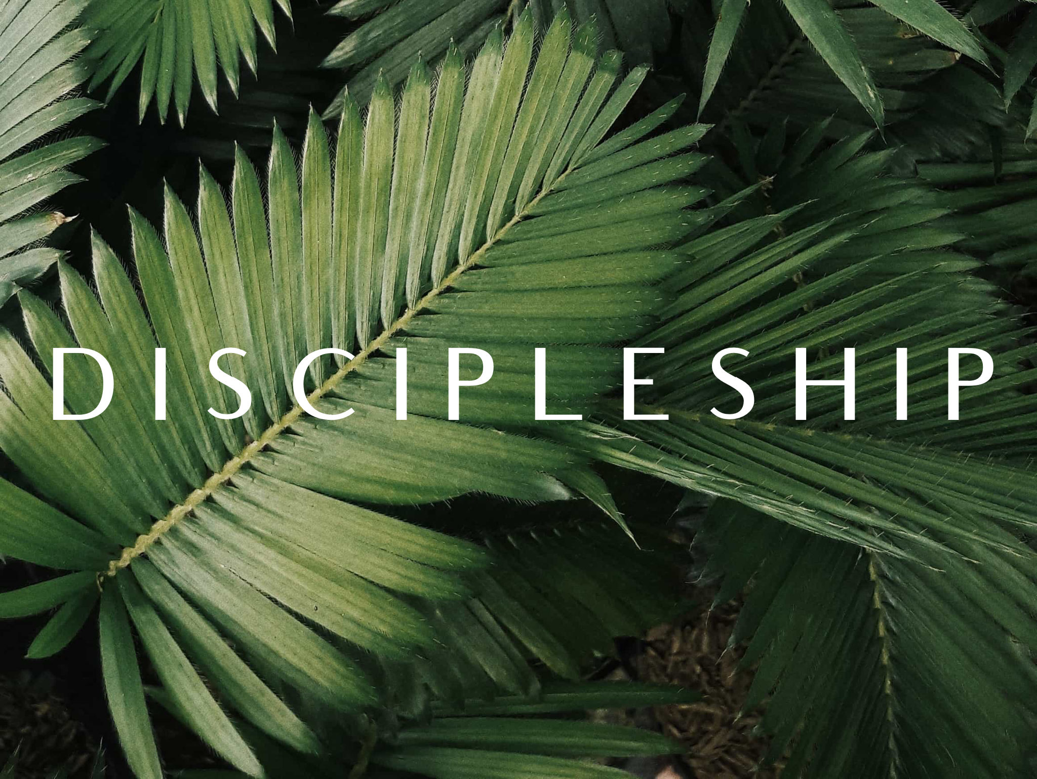Discipleship - Calvary Chapel Running Springs
