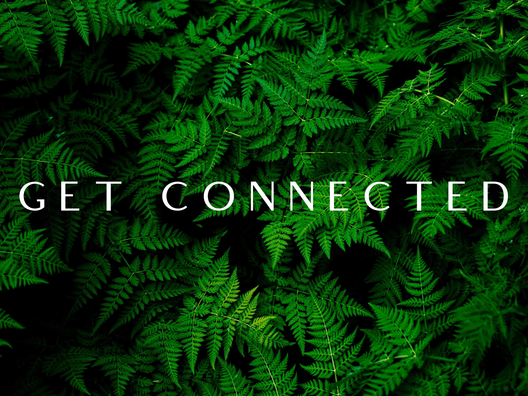 Get Connected - Calvary Chapel Running Springs